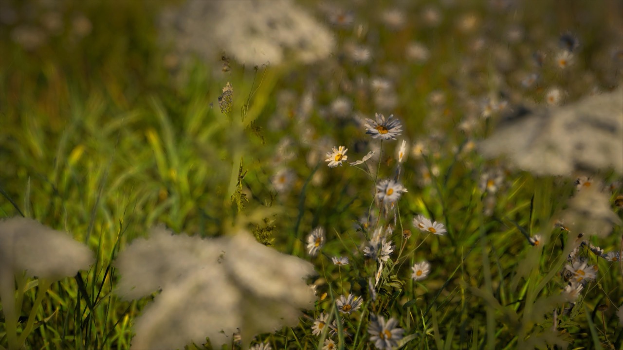 Studies on Breaking Immersion